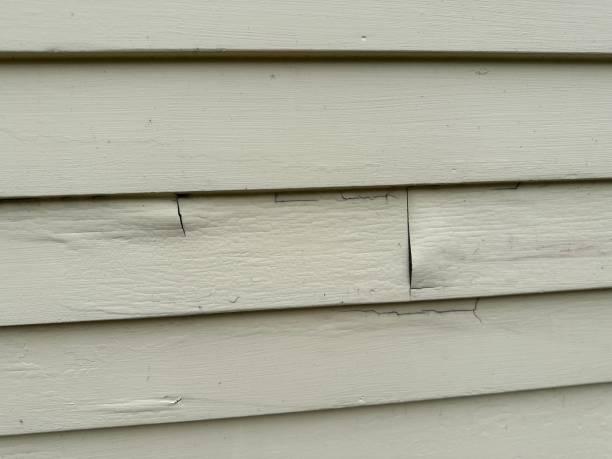 Best Foreclosure Cleanout  in Chackbay, LA